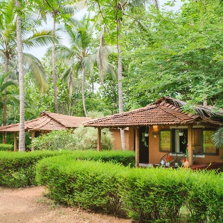 Nature'S Nest Eco Resort Goa, Near Dudhsagar Waterfalls Molem Экстерьер фото