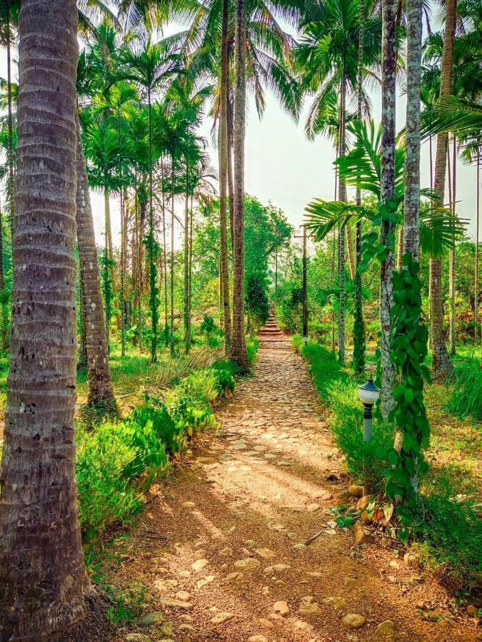 Nature'S Nest Eco Resort Goa, Near Dudhsagar Waterfalls Molem Экстерьер фото