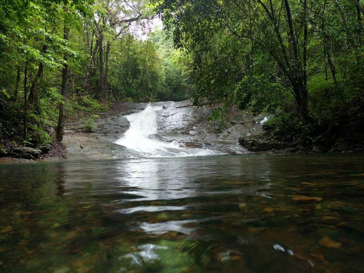 Nature'S Nest Eco Resort Goa, Near Dudhsagar Waterfalls Molem Экстерьер фото